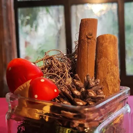 Rovere Dalla Riva Bed & Breakfast Arzene (Pordenone)